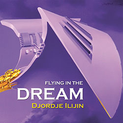 Flying in the dream